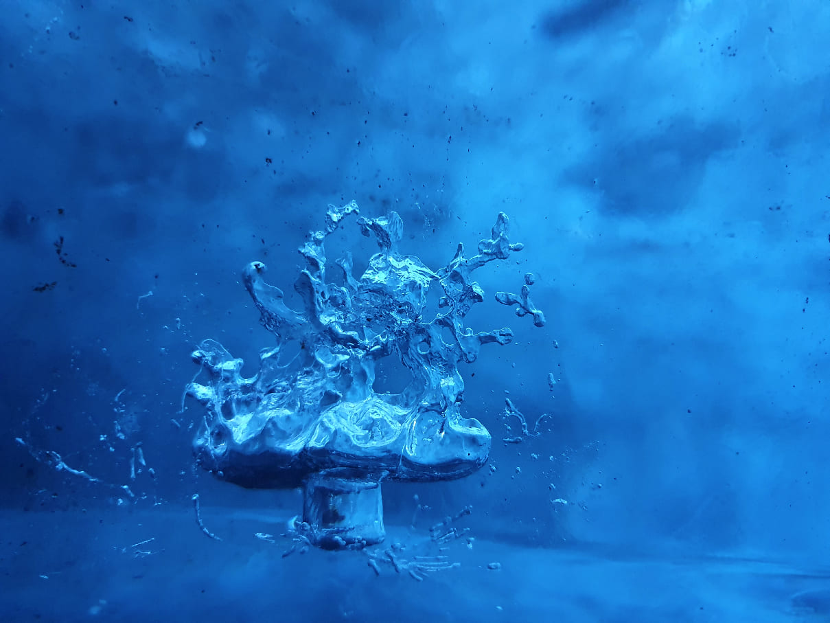 Ice Mushroom