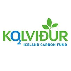 Kolvidur